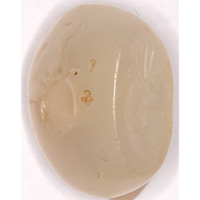 Sassanidische Siegel Rabe n.r. stehend