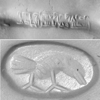 Sassanidische Siegel Rabe n.r. stehend